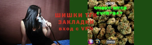 стаф Баксан