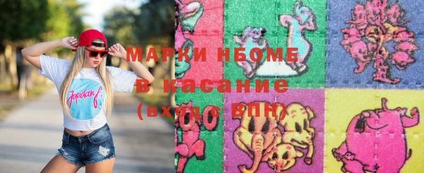 стаф Баксан