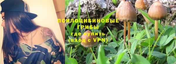 ALPHA-PVP Белокуриха