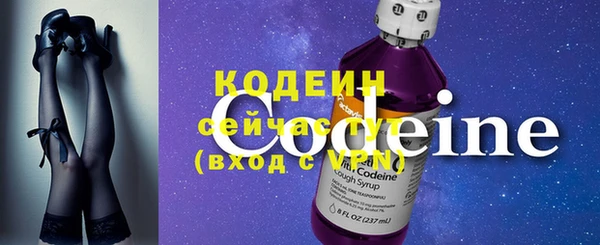 ГАЛЛЮЦИНОГЕННЫЕ ГРИБЫ Богданович